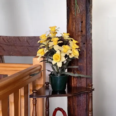 Bed and Breakfast D'hotes Chez Adam